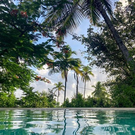 Bellevue Zanzibar Bed & Breakfast Bwejuu Eksteriør bilde