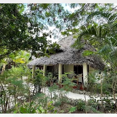 Bellevue Zanzibar Bed & Breakfast Bwejuu Eksteriør bilde