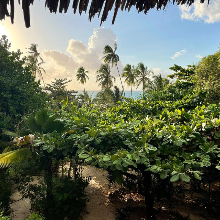 Bellevue Zanzibar Bed & Breakfast Bwejuu Eksteriør bilde