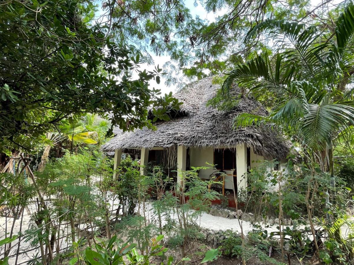 Bellevue Zanzibar Bed & Breakfast Bwejuu Rom bilde