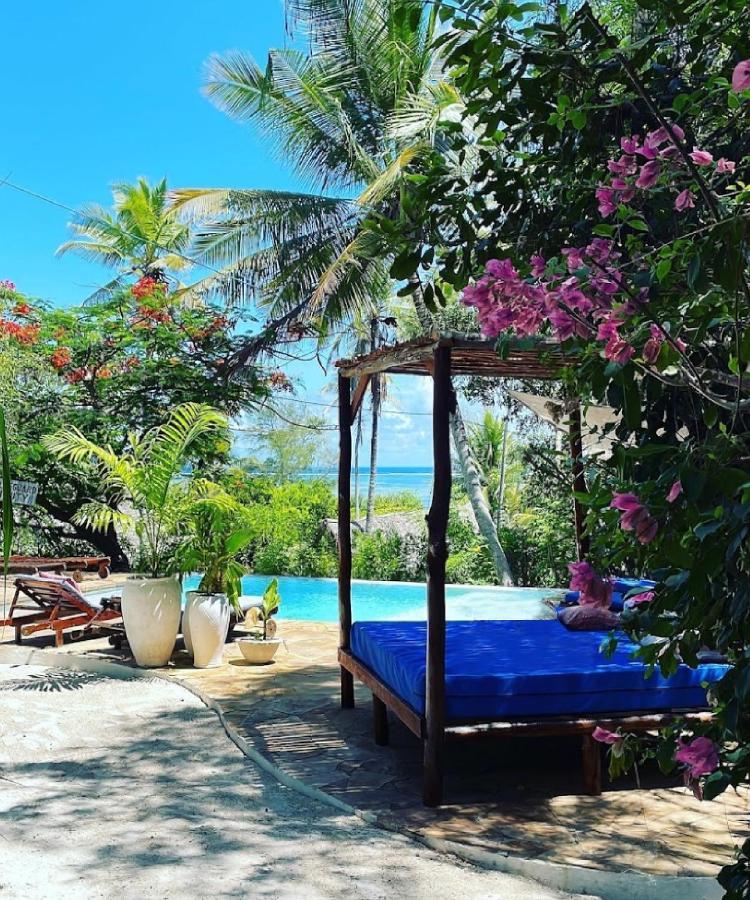 Bellevue Zanzibar Bed & Breakfast Bwejuu Eksteriør bilde