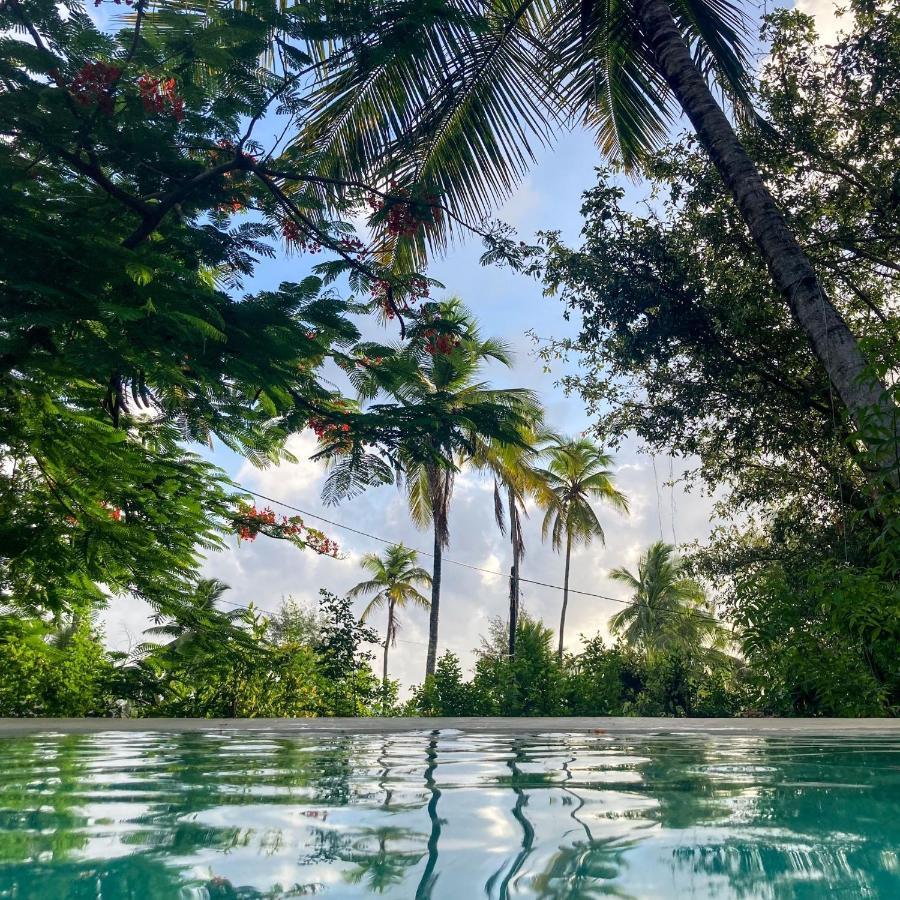 Bellevue Zanzibar Bed & Breakfast Bwejuu Eksteriør bilde