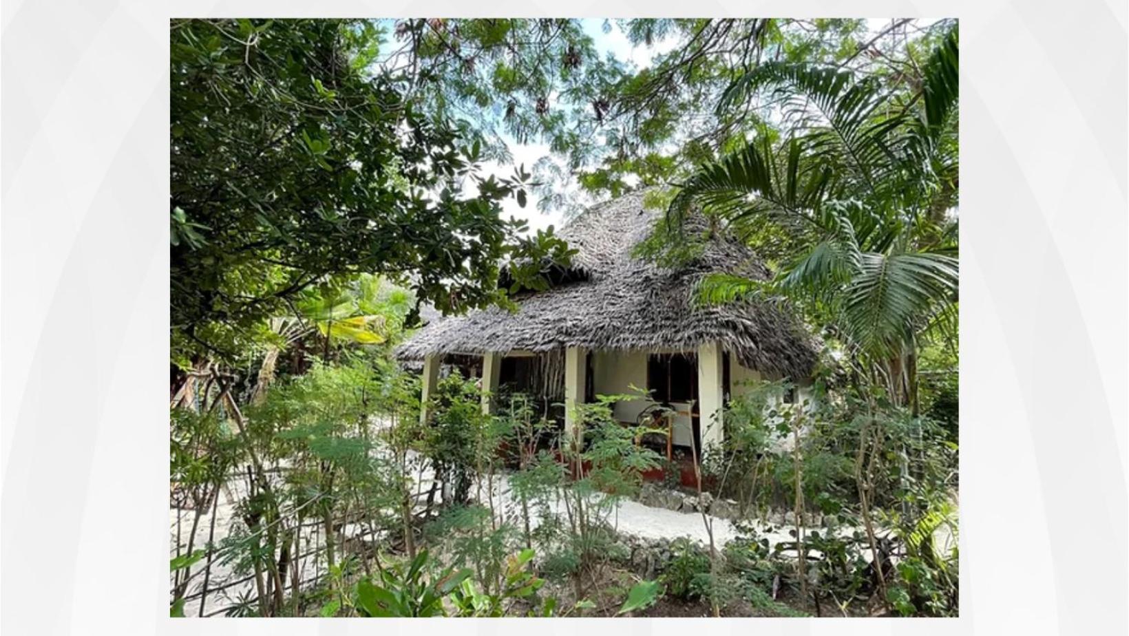 Bellevue Zanzibar Bed & Breakfast Bwejuu Eksteriør bilde