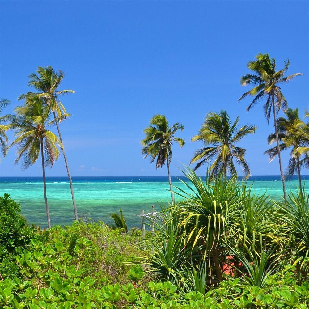 Bellevue Zanzibar Bed & Breakfast Bwejuu Eksteriør bilde