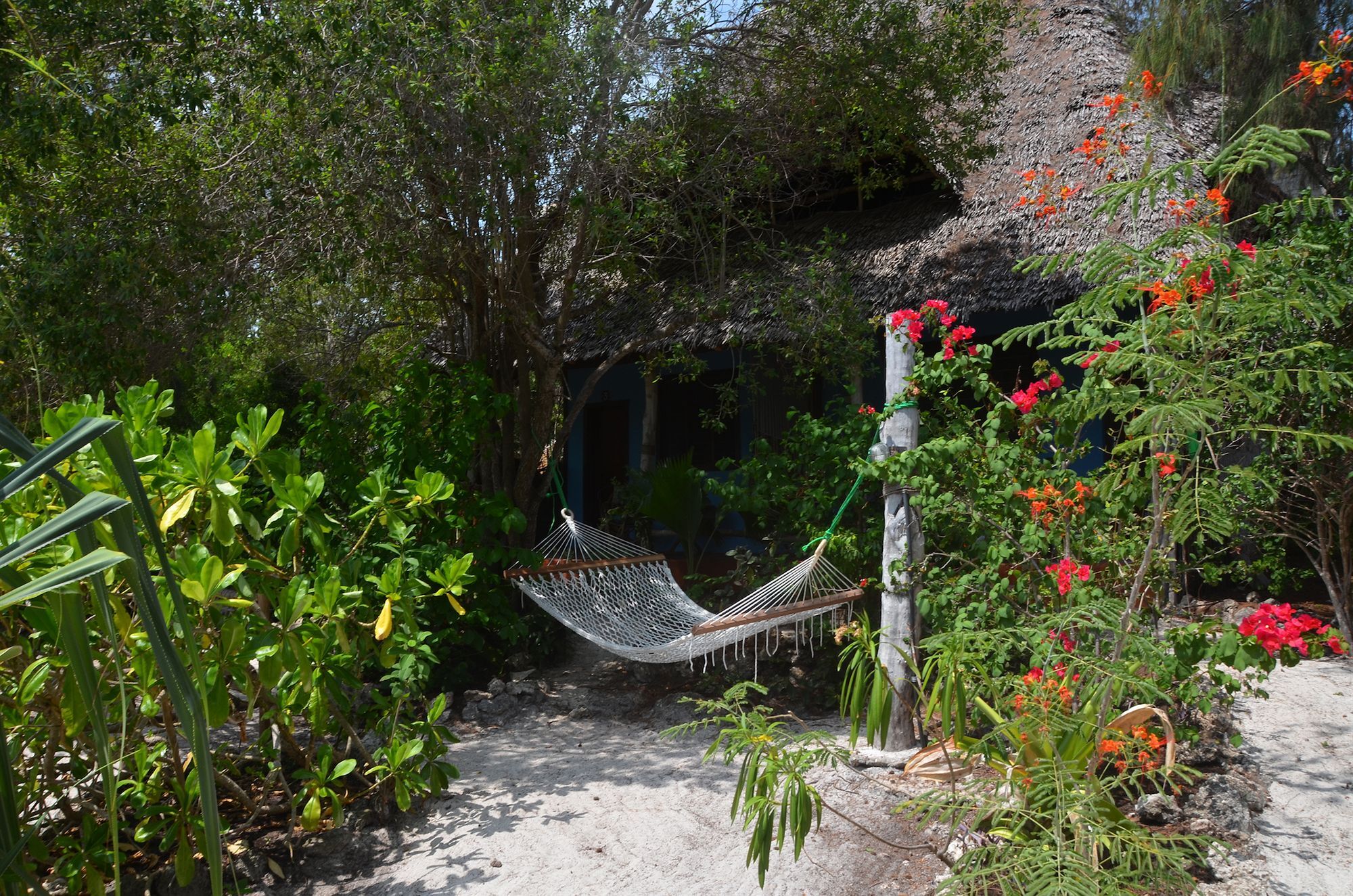 Bellevue Zanzibar Bed & Breakfast Bwejuu Eksteriør bilde
