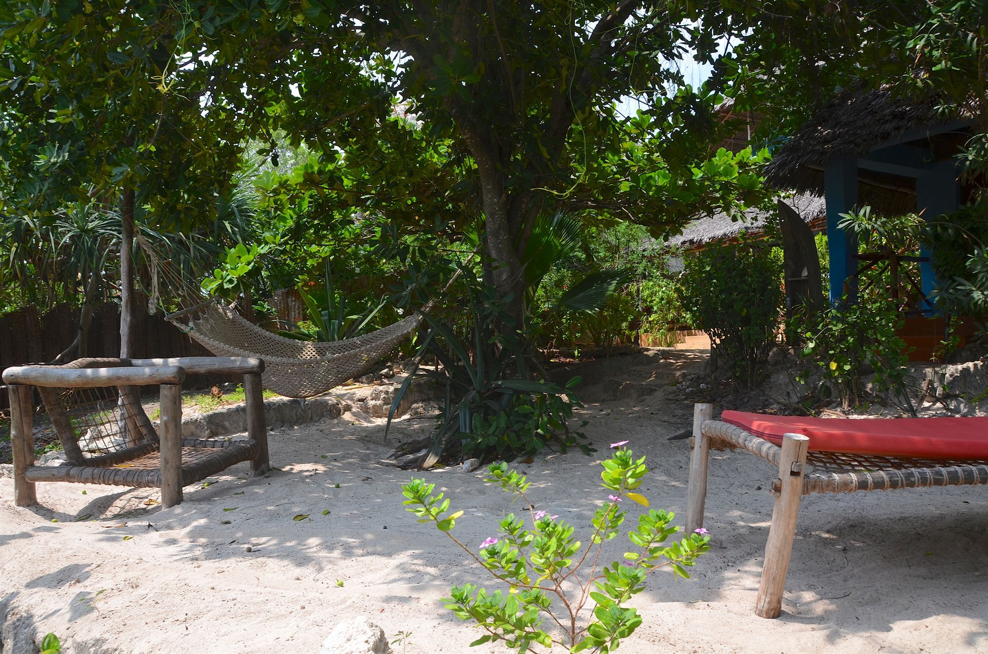Bellevue Zanzibar Bed & Breakfast Bwejuu Eksteriør bilde